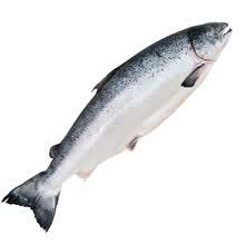 国际	顺丰航空 挪威冷冻三文鱼整条 约6-7kg 新鲜生鲜鲑鱼刺身 海鲜生鱼片