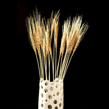 天然麦穗干花花束小麦穗拍照道具拍摄拍照背景真大麦子杂粮装饰品干花干草小麦仿真花仿真麦穗装饰植物干花真 本色一束30支