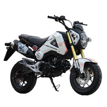 【菲尔斯 可上牌 摩托车大跑车150\/250\/350双