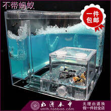 戚小米蚂蚁工坊  儿童生态观察益智玩具蚂蚁别墅家园城堡宠城堡别墅宫殿生态玩具迷你特大号家园蚂蚁窝超大