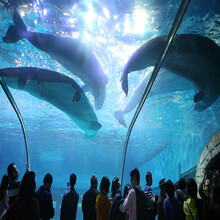 【广州长隆欢乐世界门票 电子票 7月1至7月31