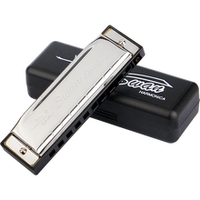 天鹅 口琴10孔布鲁斯口琴初学儿童成人入门专业演奏十孔口琴蓝调 银色