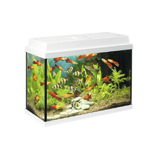 循环水泵潜水泵鱼池喷泉和芝泉大流量锦鲤池清