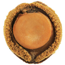 【亲福源 鲍鱼干货礼盒 青鱼鲍3头500克和海天