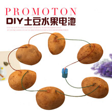 2021新款小学生科学实验器材儿童手工小制作diy创意玩具科技电学红绿灯 DIY土豆水果电池