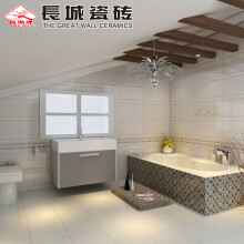 长城瓷砖 DJP1-36021 墙砖瓷片 厨房卫生间 （300X600） 尺寸300X600