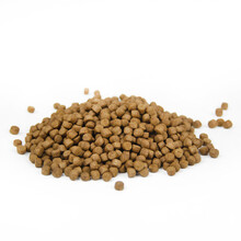 森森（SUNSUN）鱼食锦鲤饲料小型鱼食金鱼饲料金鱼饲料小颗粒 自封袋散装 250克 4毫米大粒