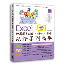 Excel数据报表制作、统计、分析从新手到高手：Excel数据透