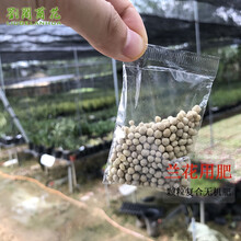 兰花专用肥 颗粒复合无机肥栽培兰草植料兰花需备营养肥 植物营养肥料基质 兰花专用肥400g