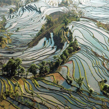 【 哈尔滨-呼伦贝尔-海拉尔-阿尔山国家森林公