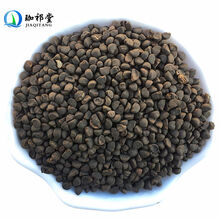 珈祁堂 中药材 黑丑 500克 黑牵牛子 