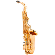 FLOFAIR 麻金中音萨克斯 降E调 FAS-866乐器铜电泳漆手工雕花 成人演奏 配件盒 FAS-866