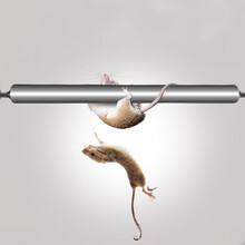 连续捕鼠器灭鼠神器老鼠笼老鼠夹捕鼠神器抓鼠神器灭鼠器家用全自动捉老鼠滚子滚轴 2支装