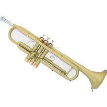 beiduofen高档小号 BDFTR-A600 专业演奏型 反套式设计.