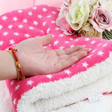 允爱狗狗垫子睡垫盖毯秋冬耐咬猫咪宠物毛毯被子毯子床垫棉垫地垫窝垫 加厚羊羔绒毛毯颜色随机50*40cm