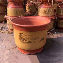 斗途园艺 紫砂花盆 红陶土梅花盆 兰花盆 盆景花盆 特大 粗陶瓷花盆 带托盘 口径19cm 大