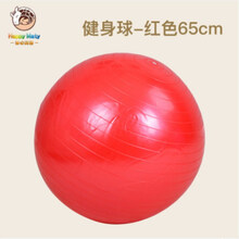 儿童健身球大龙球幼儿园感统训练宝宝感统锻炼环保按摩球玩具 65cm红色健身球