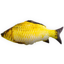 猫玩具猫薄荷逗猫猫咬牙磨牙的小猫抱枕宠物仿真猫咪博荷草鱼枕头 单个20cm鱼