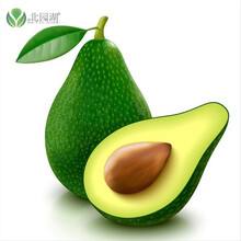 接东魁杨梅树苗 嫁接杨梅苗 南方北方种植果树