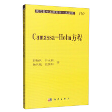 现代数学基础丛书·典藏版110：Camassa－Holm方程