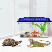 灵60ml*1瓶护龟宝龟药烂甲蒙眼龟眼宝治疗龟