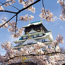 【2016春节旅游 船奇大堡礁澳大利亚新西兰凯