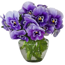 花种子藿香蓟矢车菊金鱼草勿忘我波斯菊向日葵雏菊三色堇种孑 春夏秋易种阳台盆栽庭院美化花卉种籽合集 三色堇大花混色300粒