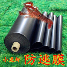 农语梦小龙虾防逃膜大闸螃蟹养殖防逃膜甲鱼防逃膜池塘塑料布膜 13丝厚-50厘米高 1卷200米防逃膜(不加工)