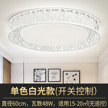 欧潽丽家 客厅灯led吸顶灯现代简约温馨浪漫大气餐厅卧室灯家用阳台走廊圆形灯具 鸟巢款 圆形60cm白光48W