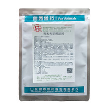 山东鲁西兽药替米考星预混剂 20% 呼吸道肺炎 蓝耳病 工厂发货 GMP