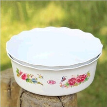 【花兮语 郁金香种球 家庭阳台种植 室内盆栽花