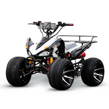 【闪速哈雷电动车防盗电瓶车电动车平衡滑板车