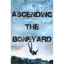 Ascending the Boneyard