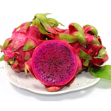 【鲁加蜜 海南红心火龙果 2.5kg 国产新鲜时令