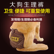 狗狗生理裤宠物卫生裤姨妈裤 金毛大狗月经裤母狗发情期安全裤 褐色生理裤 L-适合腰围56-72cm