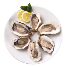 【恒六 朝鲜进口鲜活象拔蚌象牙蚌象鼻蚌 1-2只