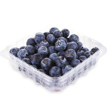 【东北伊春野生蓝莓 水果 蓝莓干 蜜饯 2016年