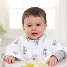 aden anais 美国口水巾婴儿纯棉纱布围嘴加厚宝宝新生儿口水兜360度旋转护肩aa 2只装-鸟鸣乐曲