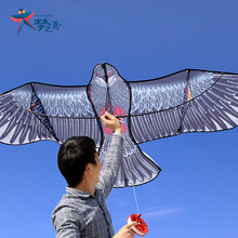 【泰澄 双电压电水壶温奶器电热杯 110V\/220V