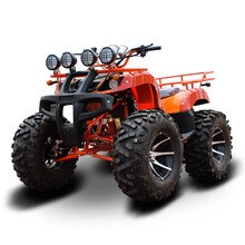 【闪速哈雷电动车防盗电瓶车电动车平衡滑板车