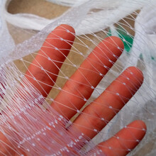 【满城花牛筋水管 4分6分1寸牛筋管子牛筋软管