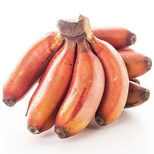 【百宝源 广西红香蕉 贵妃蕉 2.5kg装15-20根 新