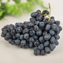 【鲜果来了 进口无籽黑提2斤装黑提子葡萄 皮