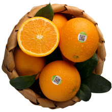 【珍享澳洲进口脐橙和湖南麻橙冰糖橙2.5kg 单