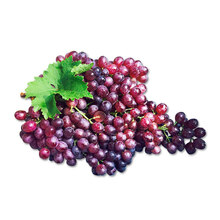 【鲜果来了 进口无籽黑提2斤装黑提子葡萄 皮