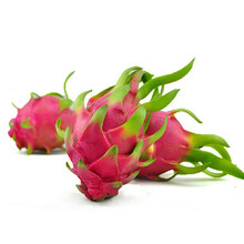 售2月6号开始发货】果果屋 越南红心火龙果 2