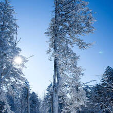 【 打飞的飞行体验:三亚 直升机 三亚湾起飞 西