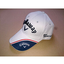 毯 高尔夫高密度人造草坪 门球草 1个平方和美