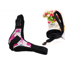 链子泰迪遛狗绳胸背带 宝石蓝 5米 适合体重30