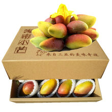 【树懒果园 缅甸进口芒果 2.5kg 单果300-600g